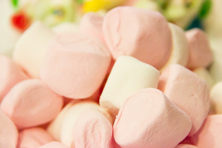 MdN Photography Comuniones11