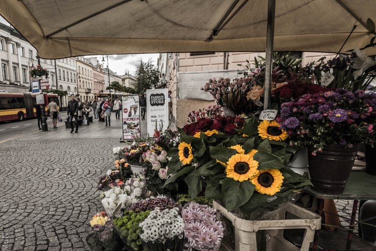 MdN Photography viaje